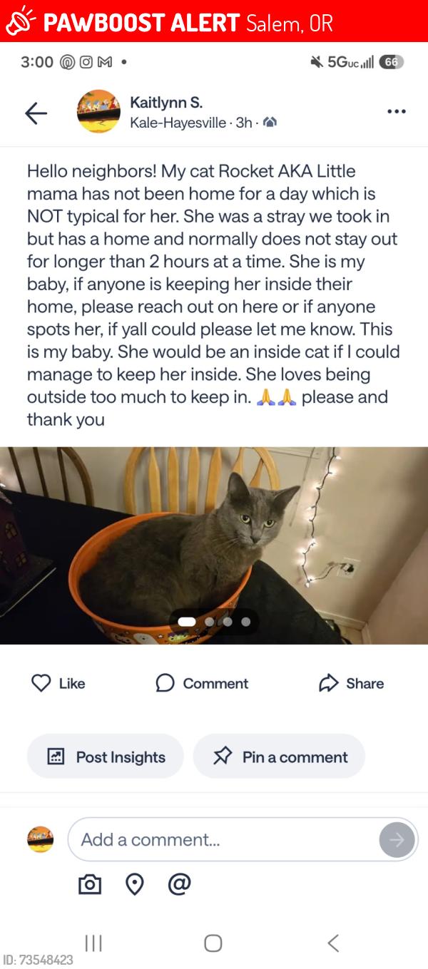 Lost Female Cat last seen Kale and Countryside NE Salem/Keizer area, Salem, OR 97305