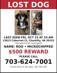 Reunited Female Dog last seen Cabernet Ct and Galesbury Ln, Chantilly, VA 20151