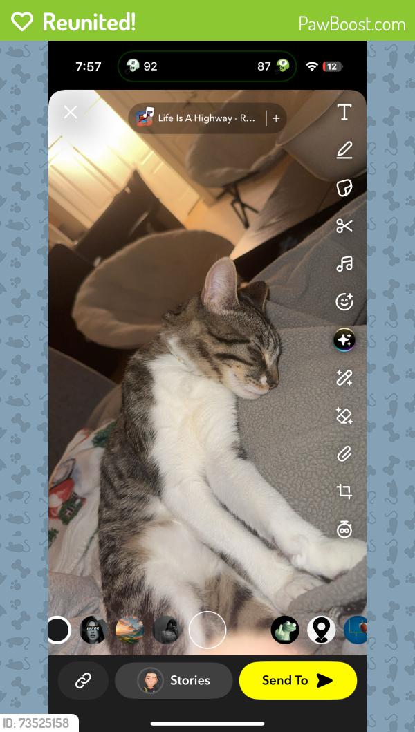 Reunited Female Cat last seen Mlk park, Indianapolis, IN 46202