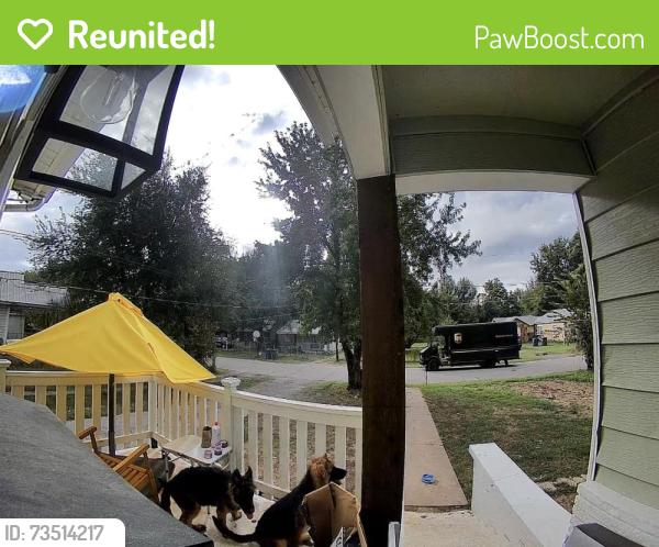 Reunited Male Dog last seen Near south 53rd Ave West Tulsa OK 74127, Tulsa, OK 74127