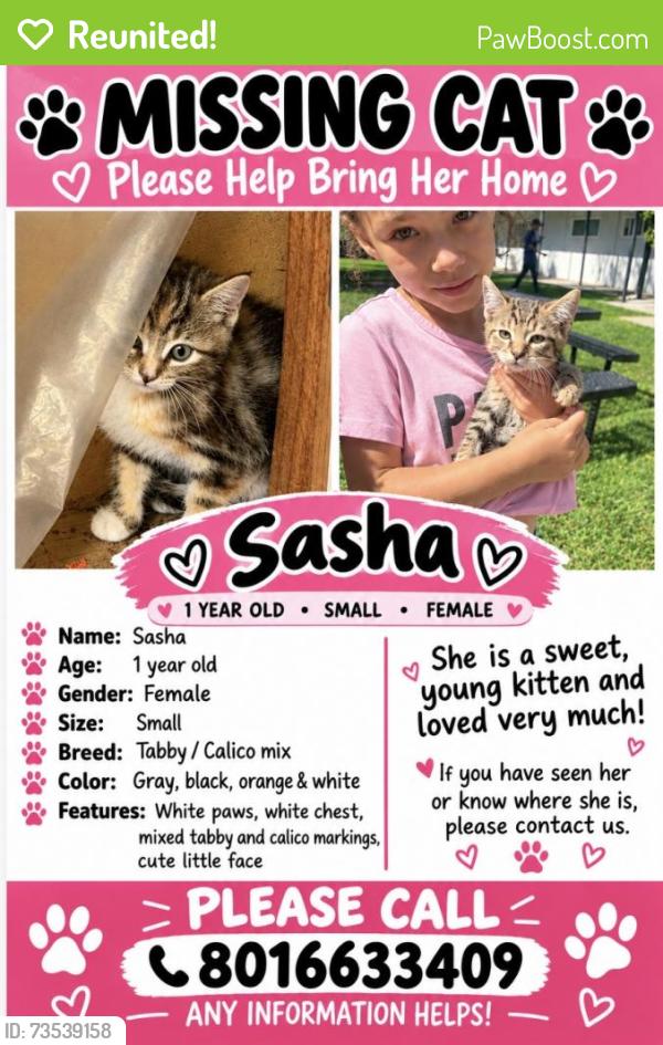 Reunited Female Cat last seen Sidewalk, Ogden, UT 84403