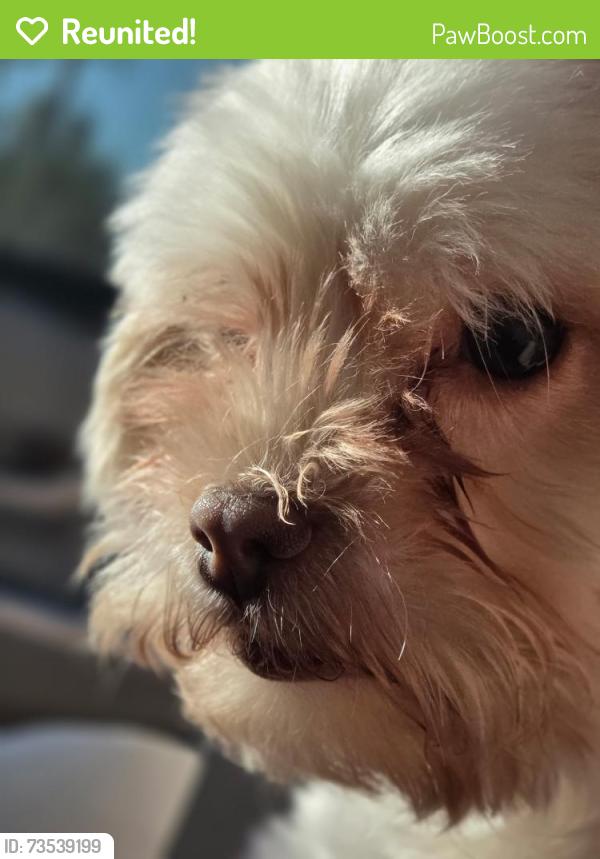 Reunited Male Dog last seen 23rd, Greeley, CO 80631