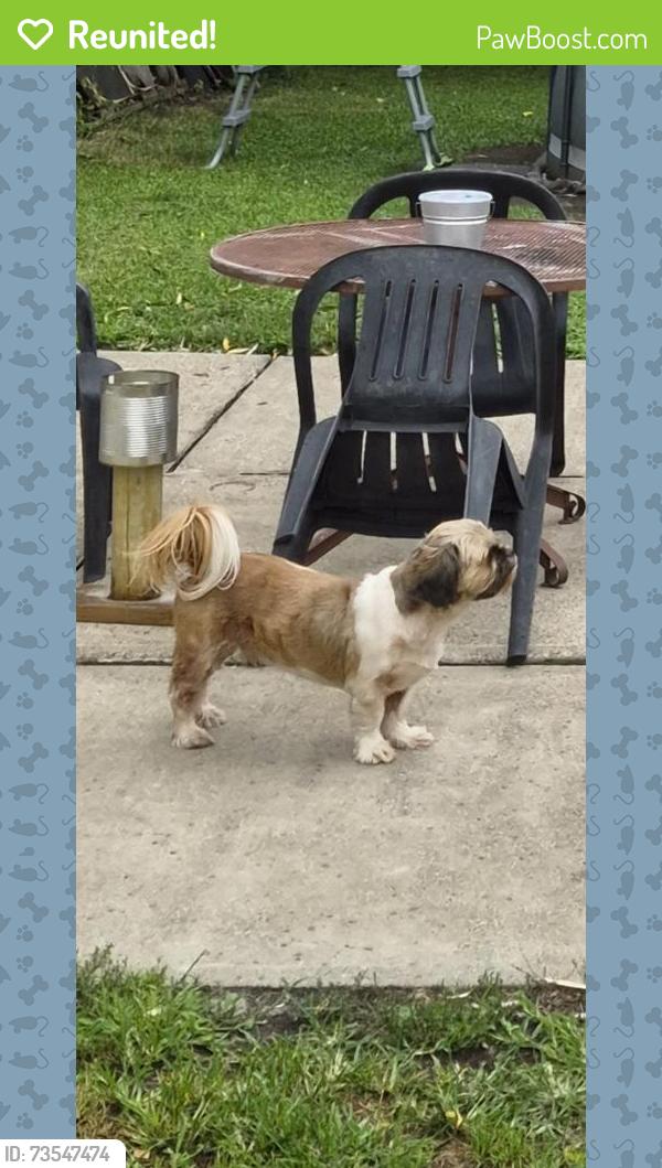 Reunited Male Dog last seen Restored Church, Wilkes-Barre, PA 18702