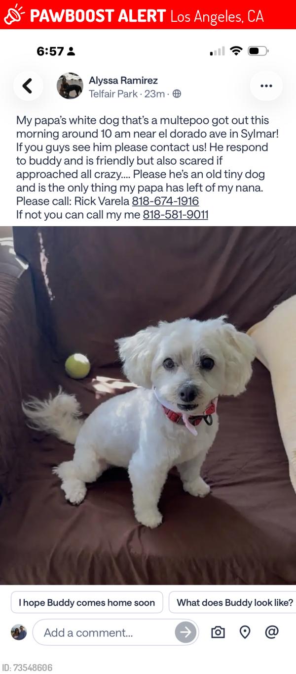 Deceased Male Dog last seen ElDorado & Bledsoe, Los Angeles, CA 91342