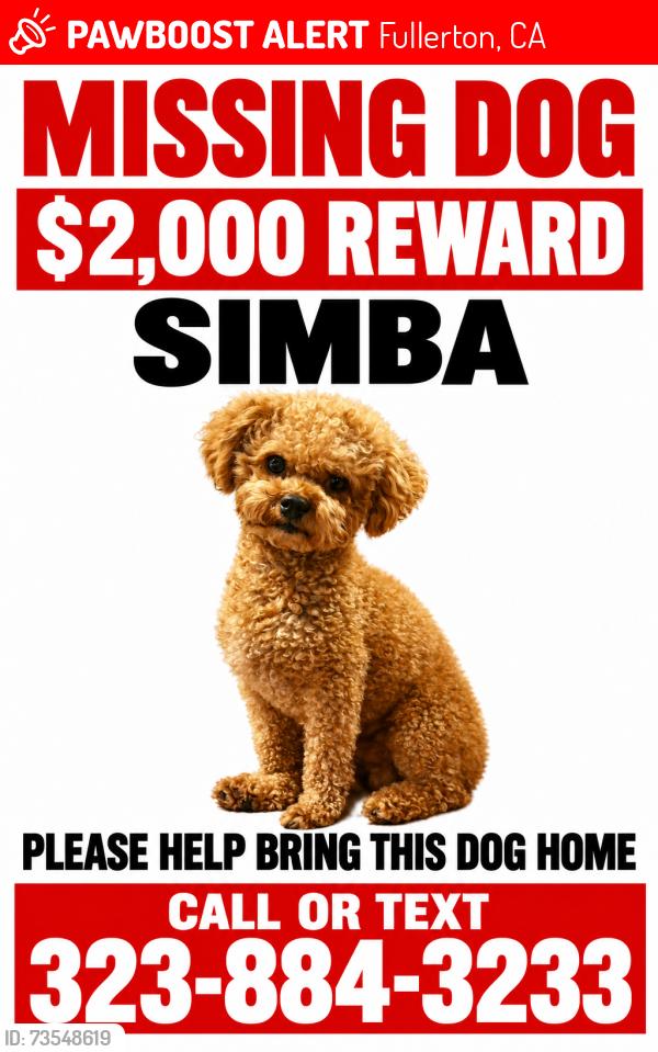Lost Male Dog last seen Domingo rd, Fullerton, CA 92835