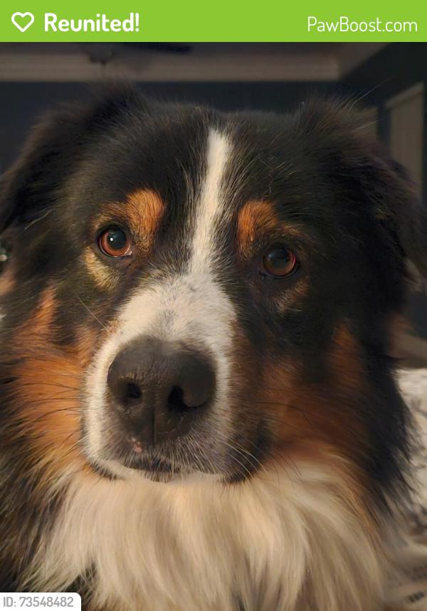 Reunited Male Dog last seen Beadreux ests drive and large cross off 249, Tomball, TX 77377