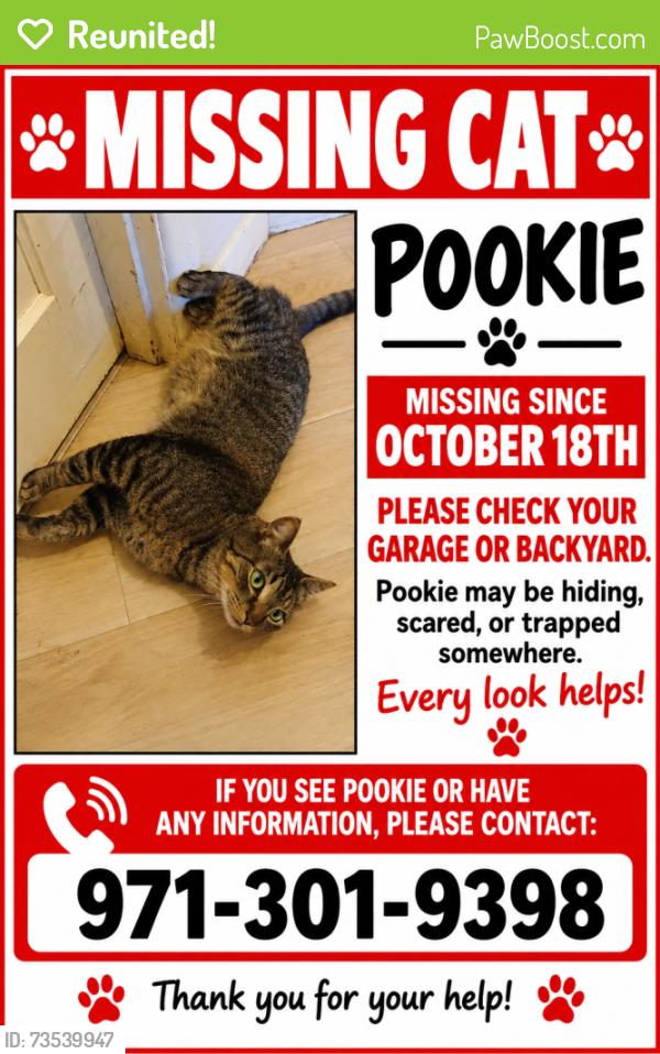 Reunited Male Cat last seen Liberty, and Missouri or Missouri and doughton, Salem, OR 97302
