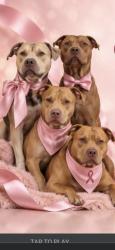 Lost Female Dog last seen Hennenton way, Buckinghamshire, England HP13 7UE