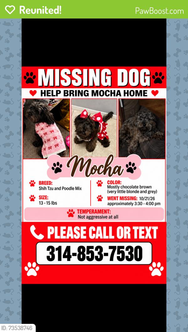 Reunited Female Dog last seen Shackleford and Kingsford, Florissant, MO 63031