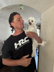 Lost Female Dog last seen Portola, Ventura, CA 93003
