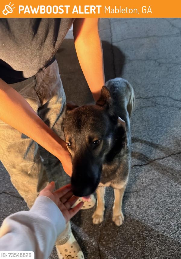 Found/Stray Male Dog last seen Mableton pkwy, Mableton, GA 30126