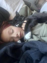 Lost Male Cat last seen Ridgeview and townline, Abbotsford, BC V2T 5P2