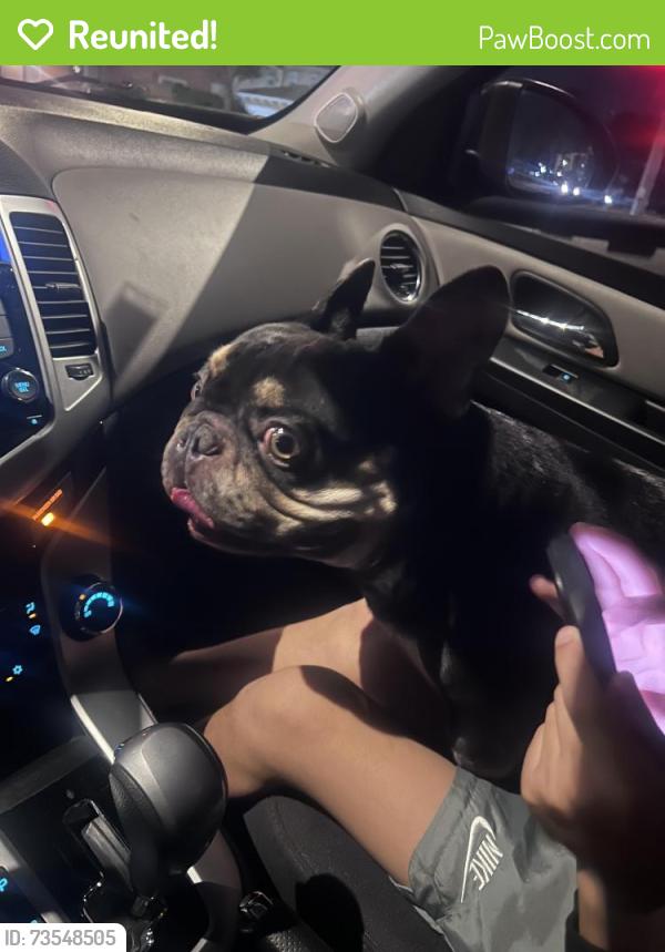 Reunited Male Dog last seen 9th and Western, Buena Park, CA 90621
