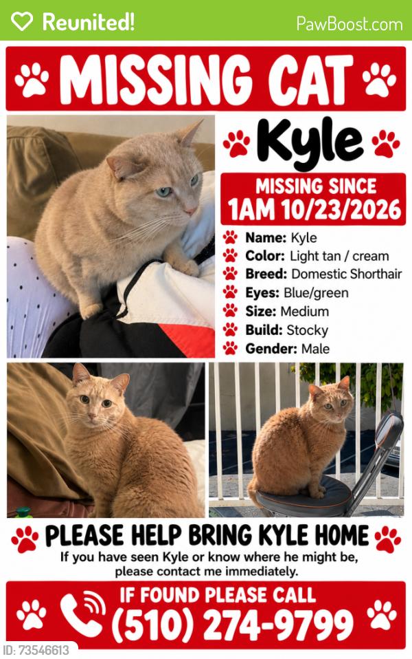 Reunited Male Cat last seen Virginia Ave, Richmond, CA 94804, USA, Richmond, CA 94804