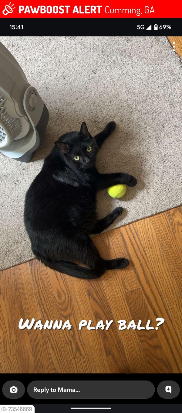 Lost Male Cat last seen Parkstone Subdivision, Cumming, GA 30028