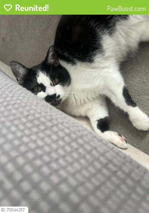 Reunited Female Cat last seen Sunfish Lake, Ramsey, MN 55303