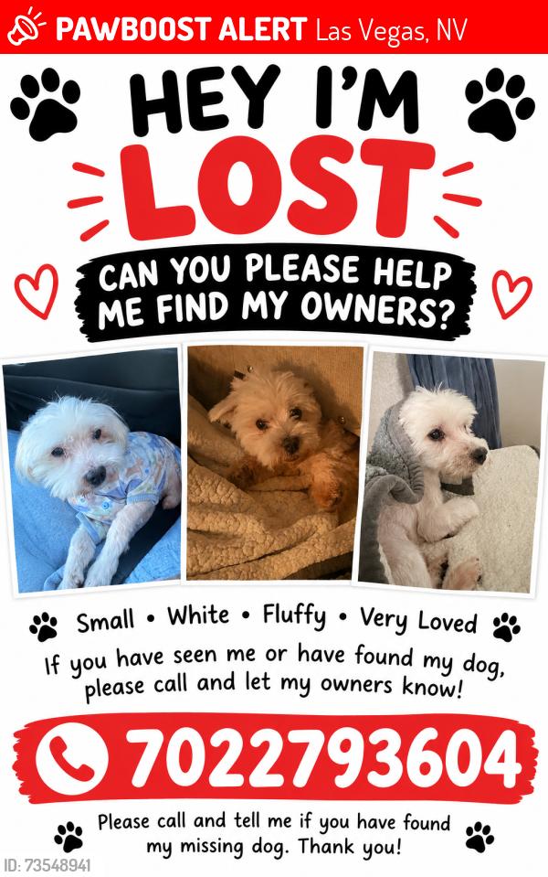 Lost Male Dog last seen E Twain / Palos verdes, Las Vegas, NV 89169
