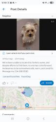 Lost Female Dog last seen Silvergate and peppertree, Dublin, CA 94568