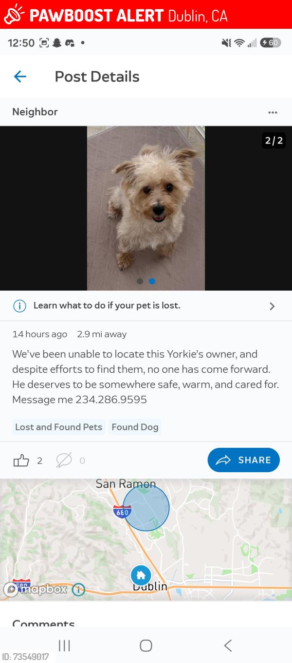 Lost Female Dog last seen Silvergate and peppertree, Dublin, CA 94568