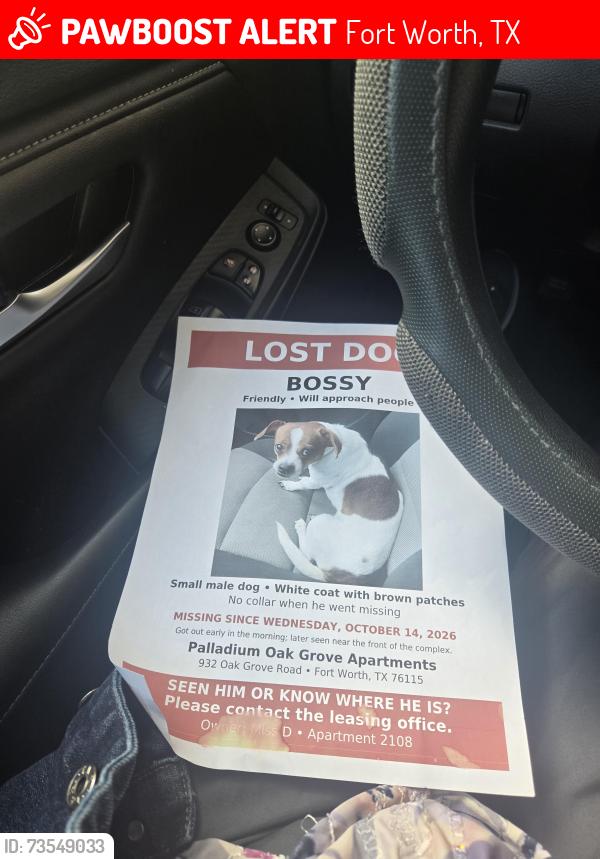 Lost Male Dog last seen Oakgrove st, Fort Worth, TX 76115