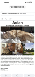 Lost Male Cat last seen Kingston upon Thames, Merton, England SW19 3JQ