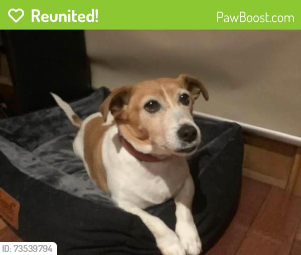Reunited Female Dog last seen Glasgow st and Lawley st, Reservoir, VIC 3073