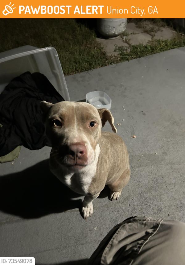 Found/Stray Female Dog last seen Exxon gas station, Union City, GA 30291