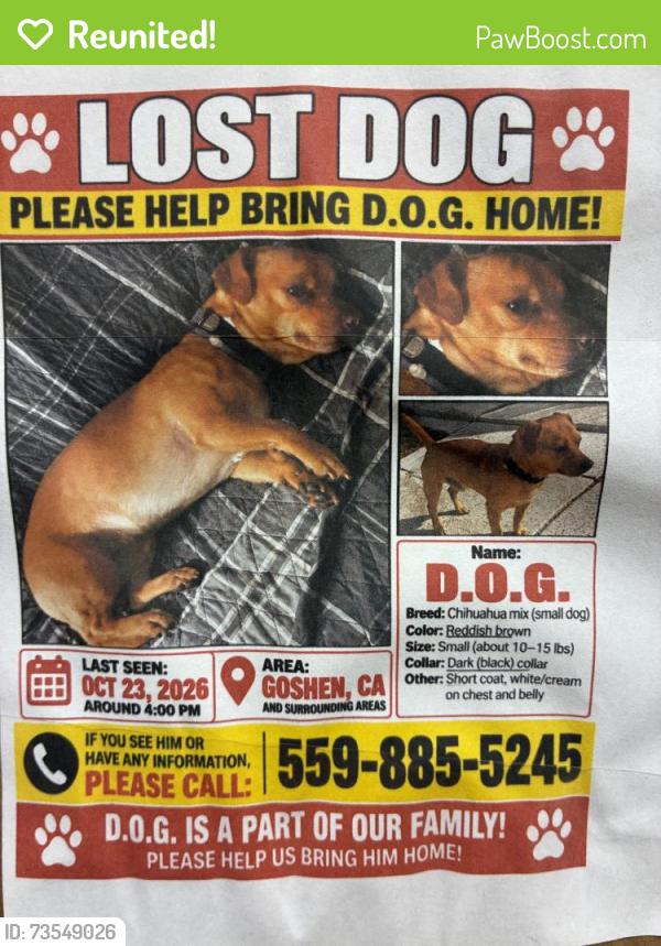 Reunited Male Dog last seen Near Rd 72, Visalia, CA 93291, USA, Visalia, CA 93291