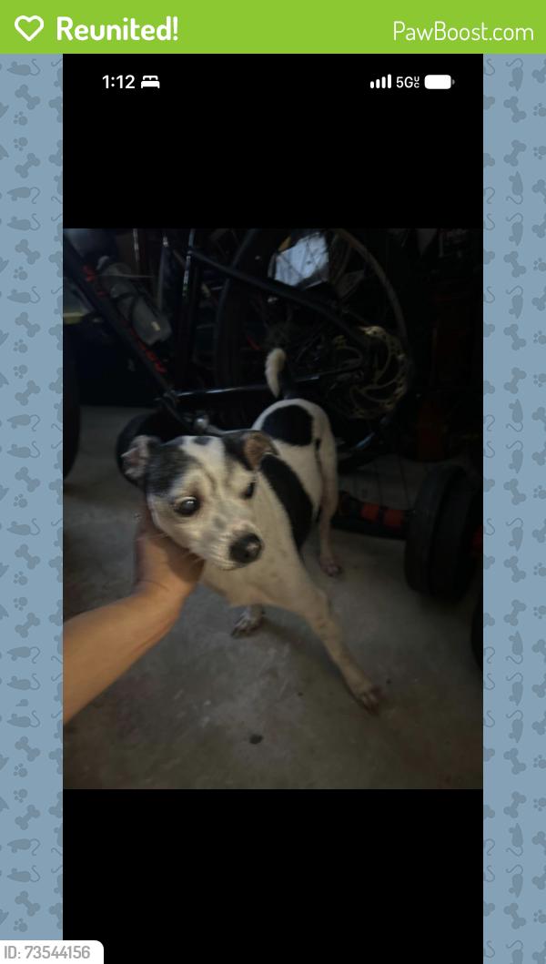 Reunited Male Dog last seen Long road, Orlando, FL 32810