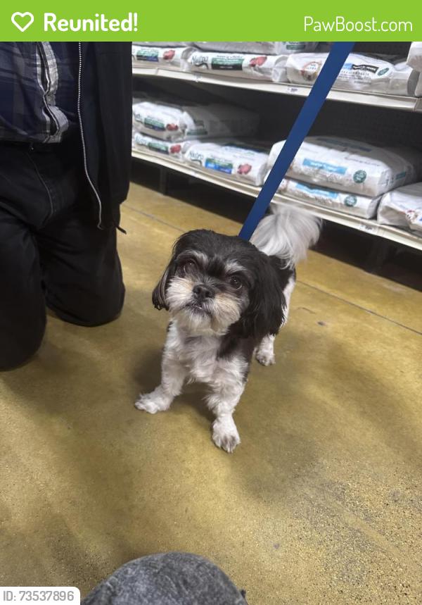 Reunited Unknown Dog last seen Near midway airport, Chicago, IL 60638