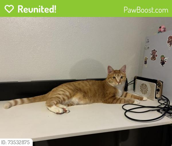 Reunited Female Cat last seen Jackson elementary, Evans, CO 80620