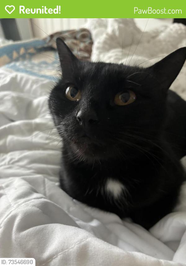 Reunited Female Cat last seen 1387/Black Champ, Waxahachie, TX 75167