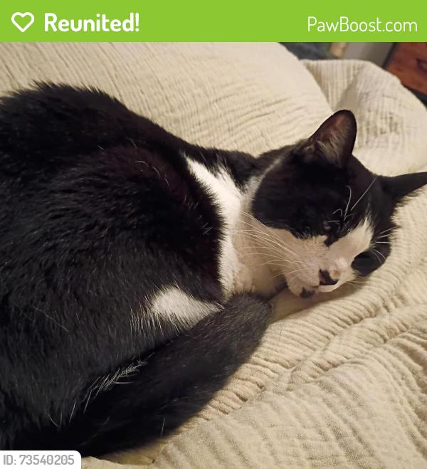 Reunited Male Cat last seen E 7th ave and N George St, York, PA 17404