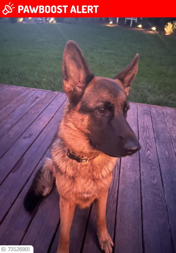 Lost Female Dog last seen Ocran and Squires, Lancaster County, VA 22578