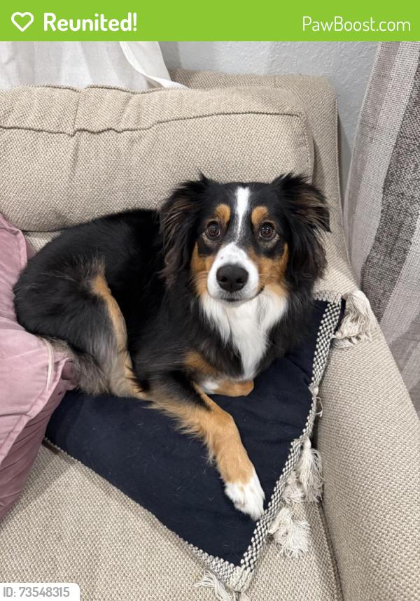 Reunited Female Dog last seen Stephen Foster neighborhood, Gainesville, FL 32609