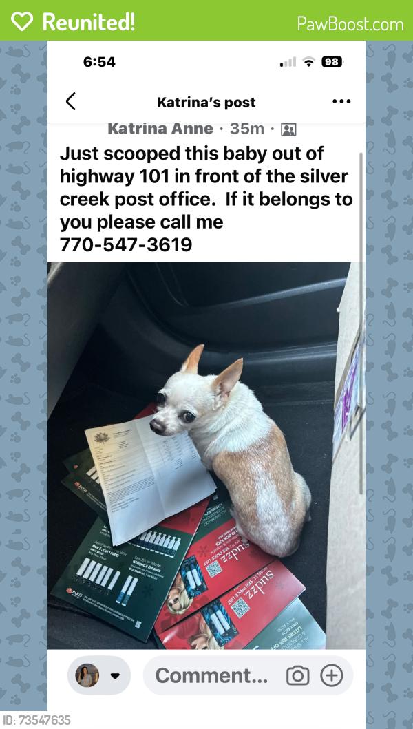 Reunited Male Dog last seen Highway 101, Floyd County, GA 30173
