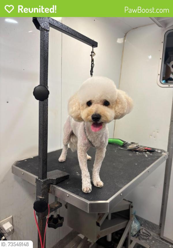 Reunited Male Dog last seen Hunters creek blvd, Orlando, FL 32837