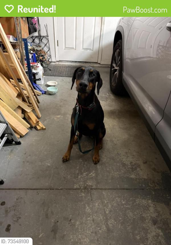 Reunited Unknown Dog last seen Country Run Parkway and Settlement Circle, Orlando, FL 32818