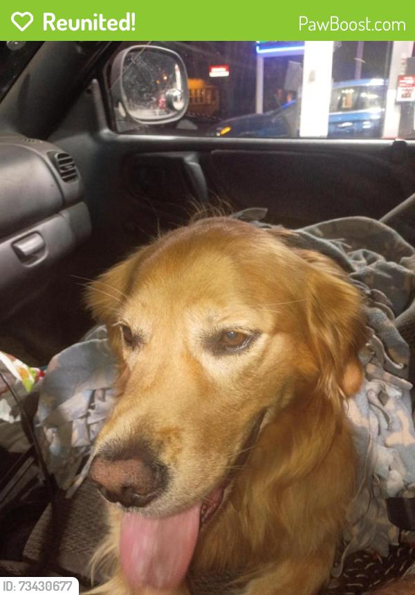 Reunited Male Dog last seen Circle k woodland ave, Duluth, MN 55812