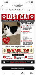 Lost Female Cat last seen Hickory Grove Walking Track, Gastonia, NC 28056