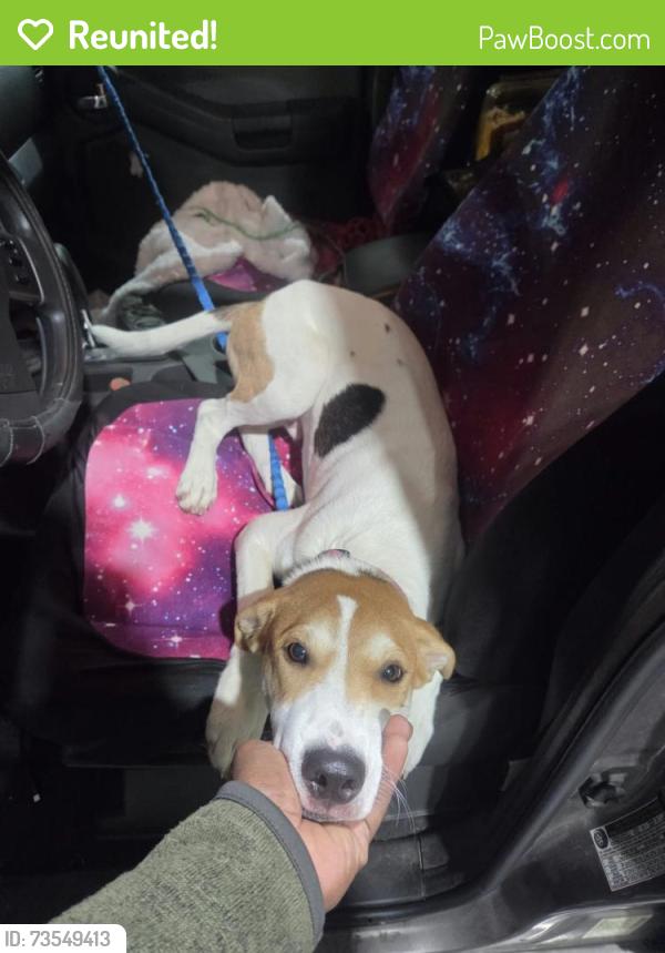 Reunited Male Dog last seen Newport News Ave, Algonquin, Hampton, VA 23669