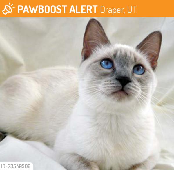 Found/Stray Unknown Cat last seen Near s minuteman dr, Draper, UT 84020