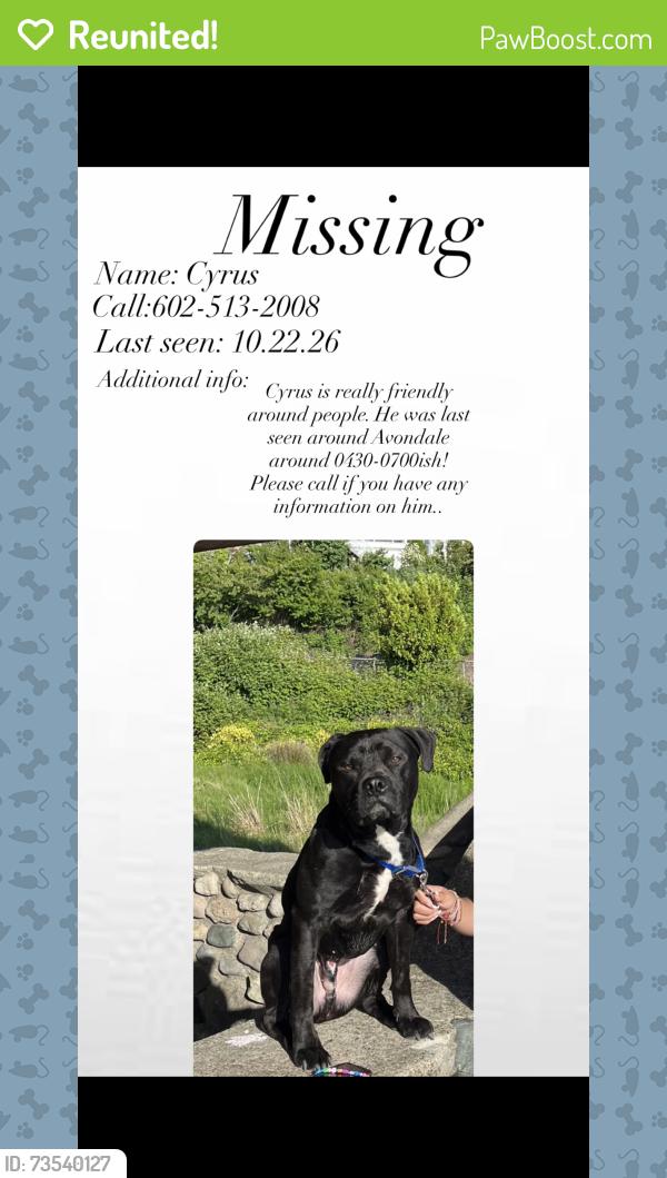 Reunited Male Dog last seen Cocopah circuit and lower buckeye rd, Avondale, AZ 85323