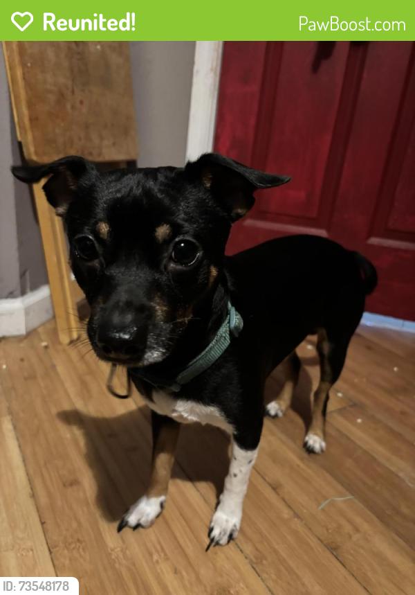 Reunited Male Dog last seen Maleluca & Haverhill, Greenacres, FL 33463