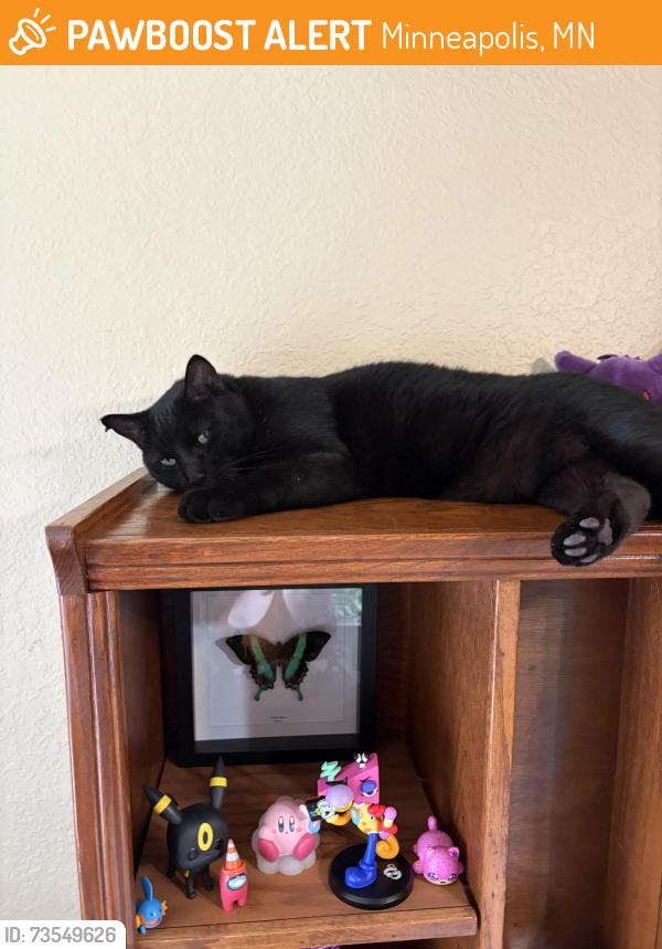 Found/Stray Male Cat last seen Harrison neighborhood, Minneapolis, MN 55405