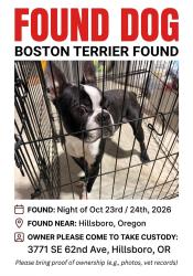 Found/Stray Unknown Dog last seen Blanton/62nd, Hillsboro, OR 97007