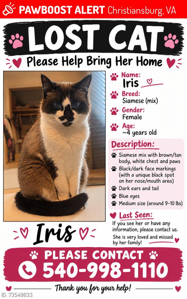 Lost Female Cat last seen Arrowhead/flint/craig mountain/Kiwanis park, Christiansburg, VA 24073