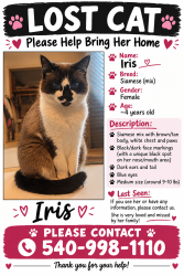 Lost Female Cat last seen Arrowhead/flint/craig mountain/Kiwanis park, Christiansburg, VA 24073
