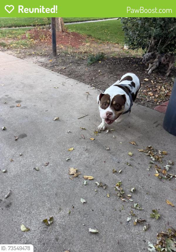 Reunited Unknown Dog last seen 21st and Tyler, Wichita, KS 67205