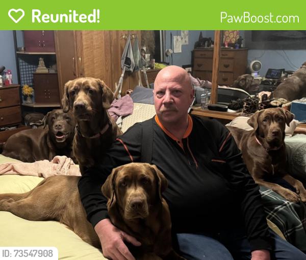 Reunited Female Dog last seen Spring Cypress Road and Hufsmith-Kohrville road, Tomball, TX 77375